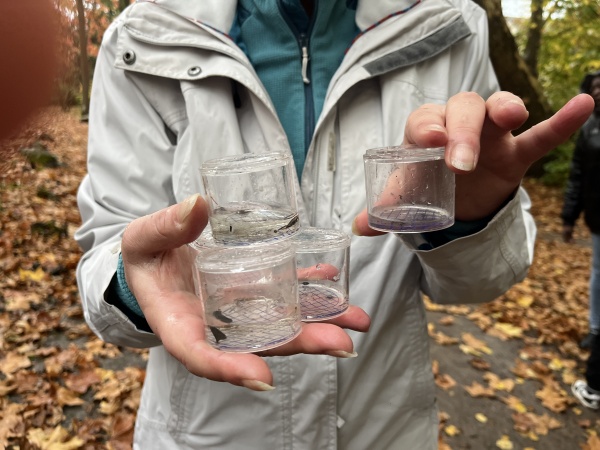 Le chuchotement des écosystèmes