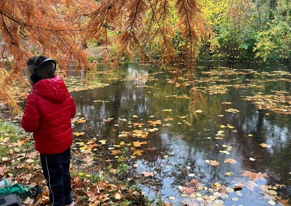 Le chuchotement des écosystèmes