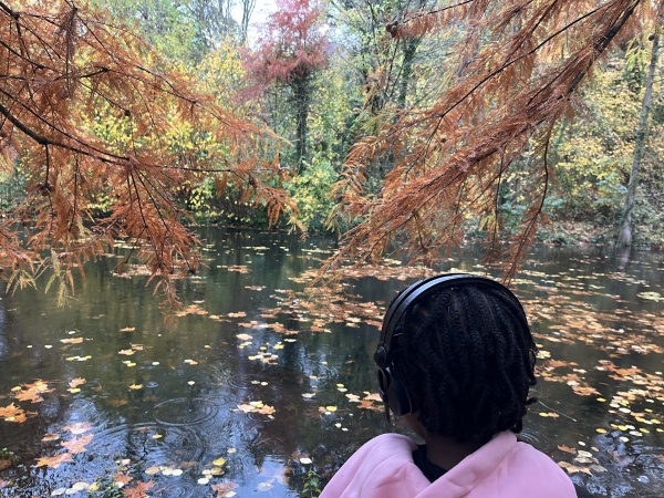 Le chuchotement des écosystèmes