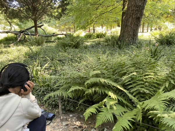 A l&#039;écoute du jardin des Tuileries