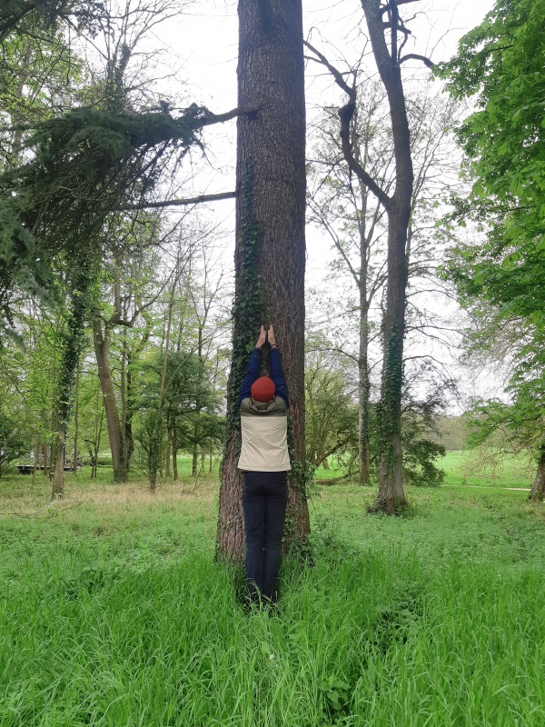 Respirer avec les arbres