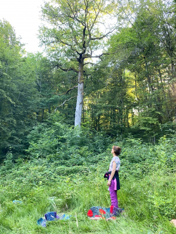 rencontres REBBEL - Nuits des forêts