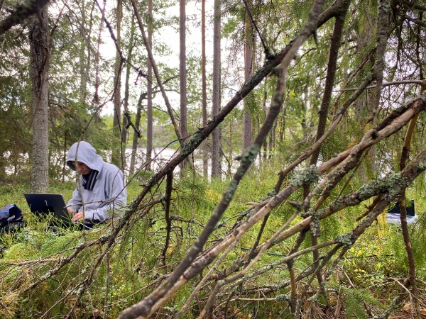 Est-ce que les arbres rêvent de C02 ?