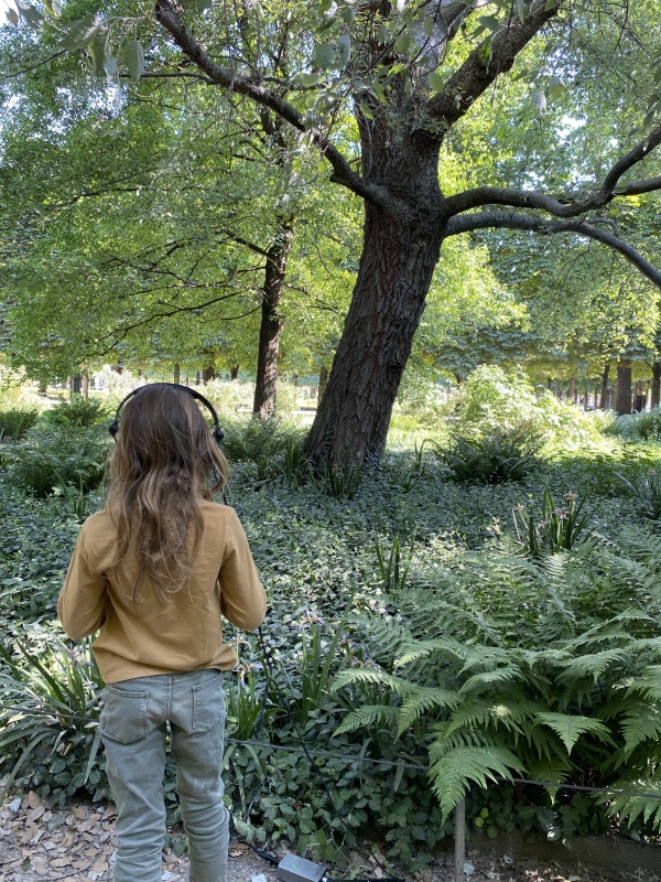 A l&#039;écoute du jardin des Tuileries