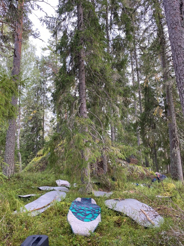 Est-ce que les arbres rêvent de C02 ?