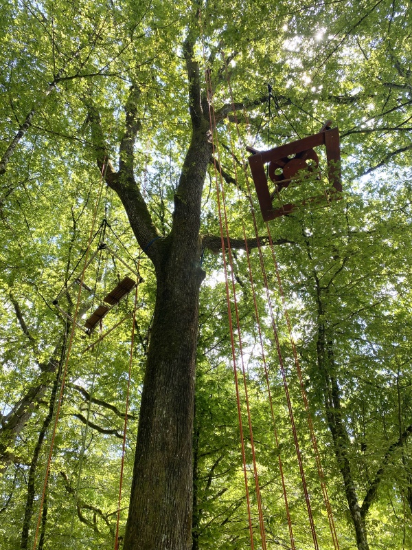 rencontres REBBEL - Nuits des forêts