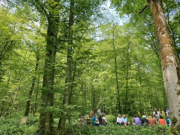 Nuits des forêts