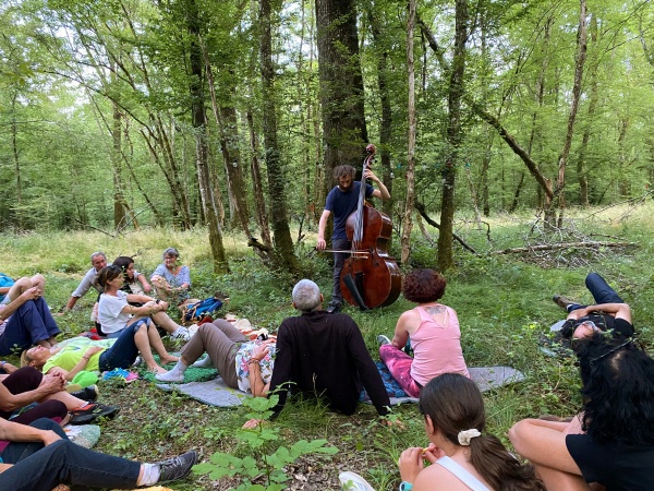 Nuits des forêts