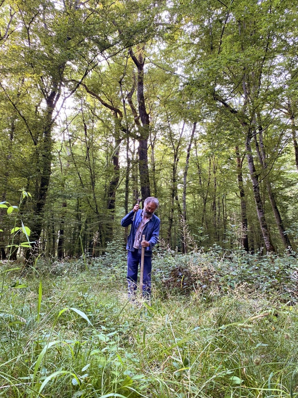 Nuits des forêts