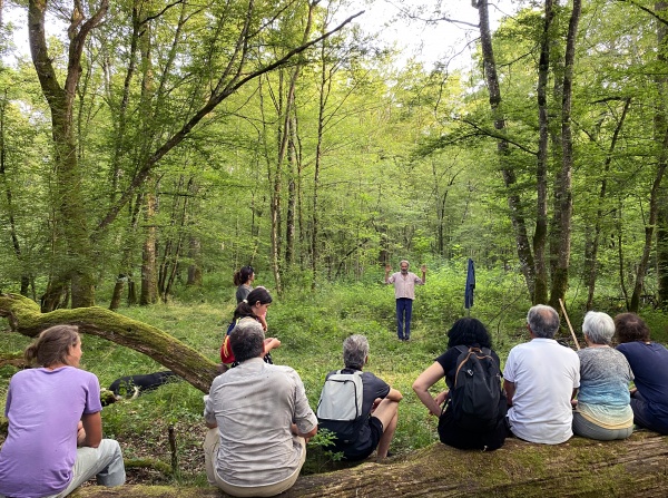 Nuits des forêts