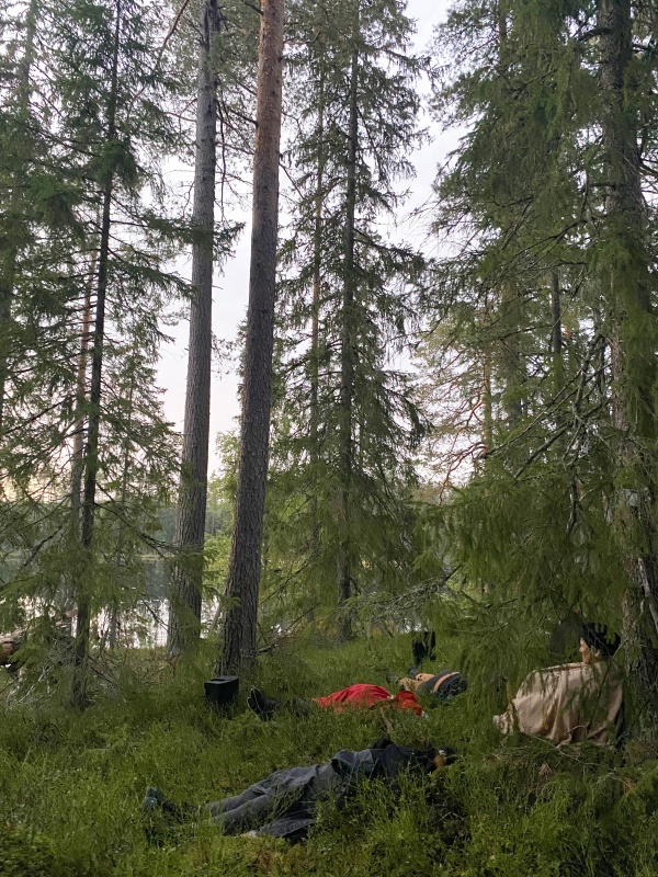 Est-ce que les arbres rêvent de C02 ?