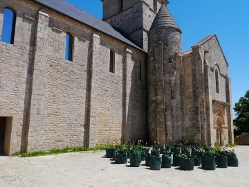 Jardiniers terrestres, jardiniers célestes, Melle biennal