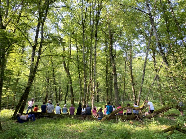 Nuits des forêts