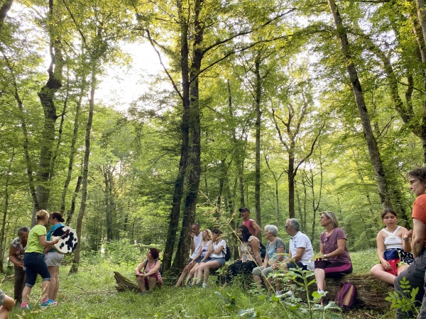 Nuits des forêts