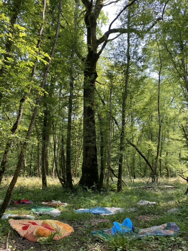 Nuits des forêts