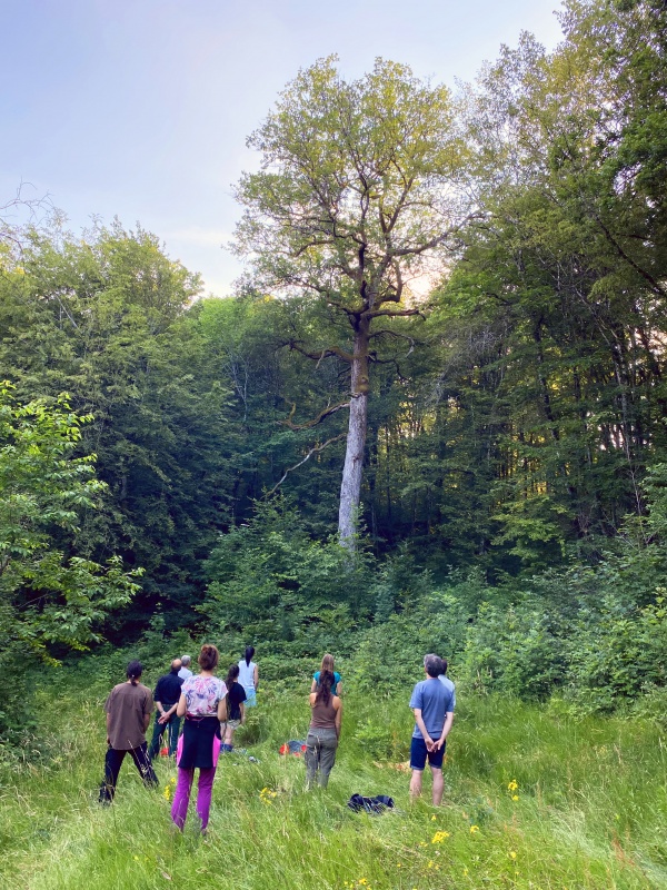 rencontres REBBEL - Nuits des forêts