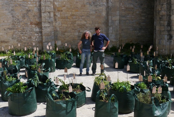 Jardiniers terrestres, jardiniers célestes, Melle biennal