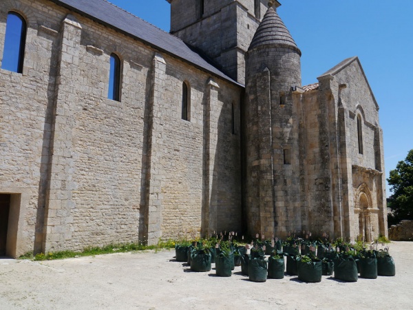 Jardiniers terrestres, jardiniers célestes, biennale de Melle