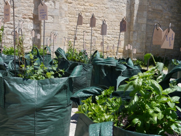 Jardiniers terrestres, jardiniers célestes, Melle biennal