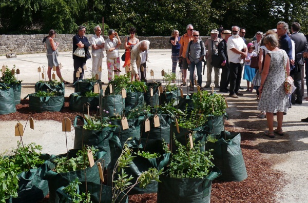 Jardiniers terrestres, jardiniers célestes, Melle biennal