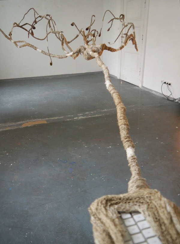 dendromité-Berlin 2015