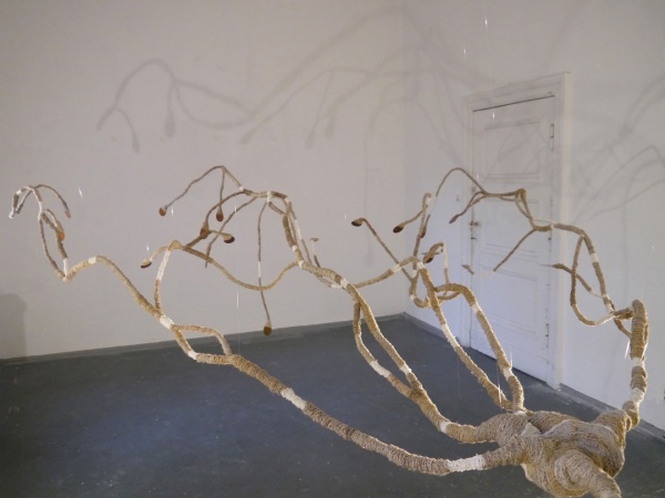 dendromité-Berlin 2015