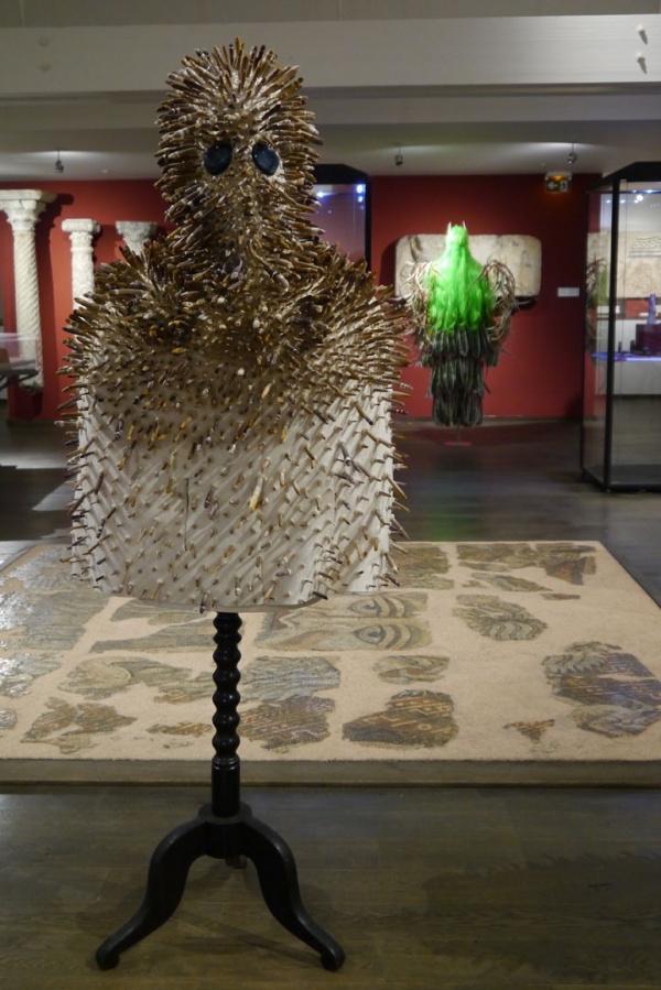 exploreur- orchin, 2011