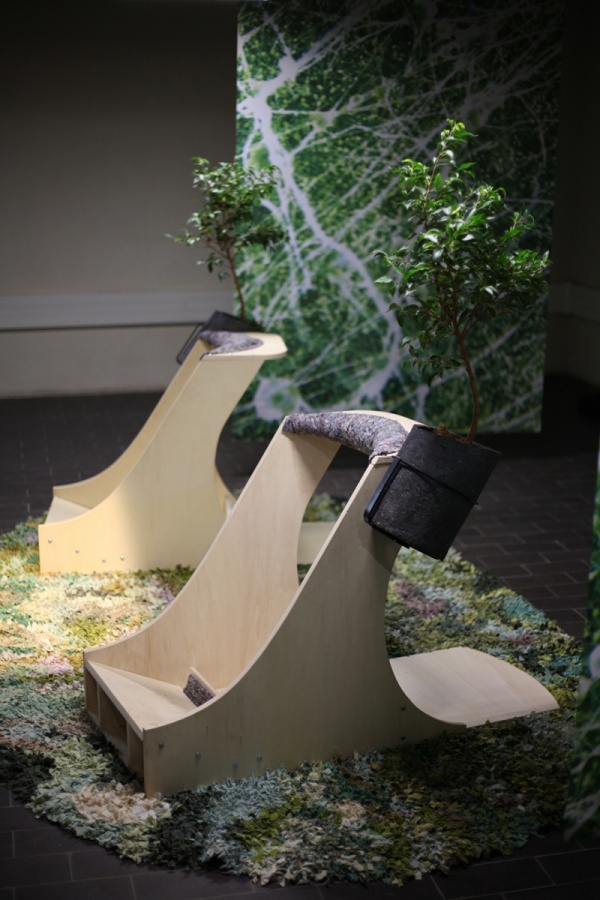 vertimus, 2019