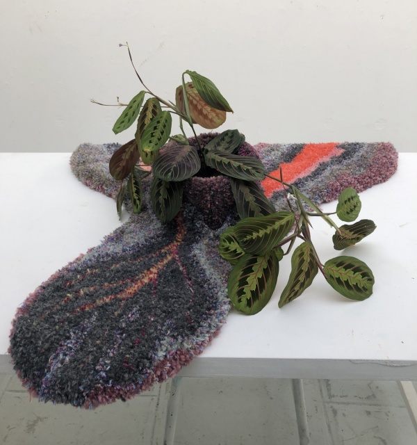 planting yourself with plants, 2019