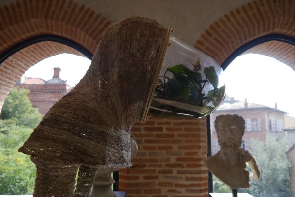 tropiques domestiques, 2014