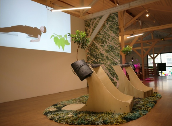 vertimus, 2019