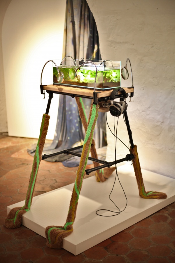 symbiots symphony, 2025