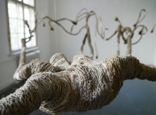 dendromité-Berlin 2015