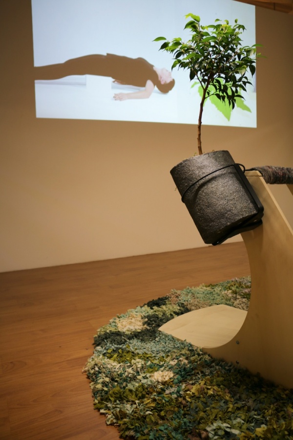 vertimus, 2019