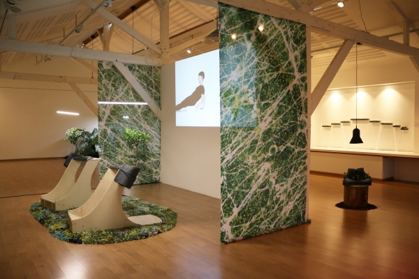 vertimus, 2019