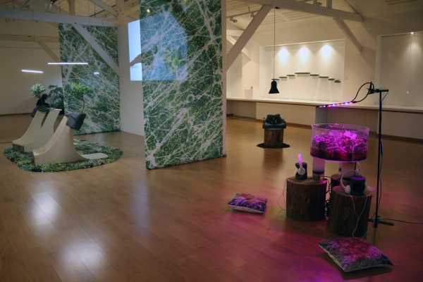 vertimus, 2019