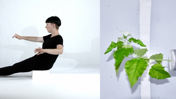 vertimus, 2019
