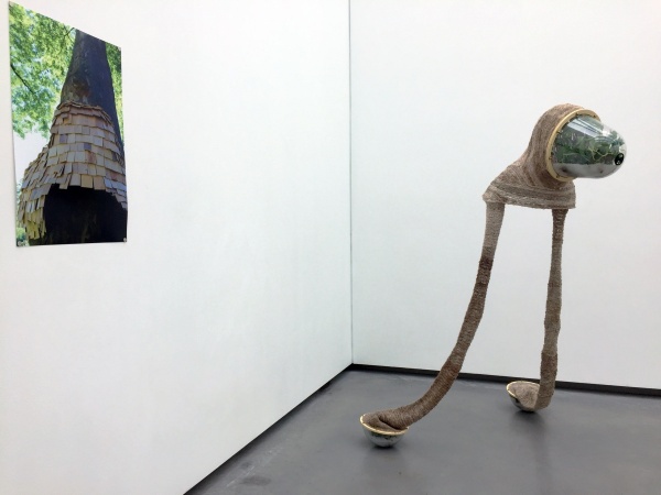 tropiques domestiques, 2014