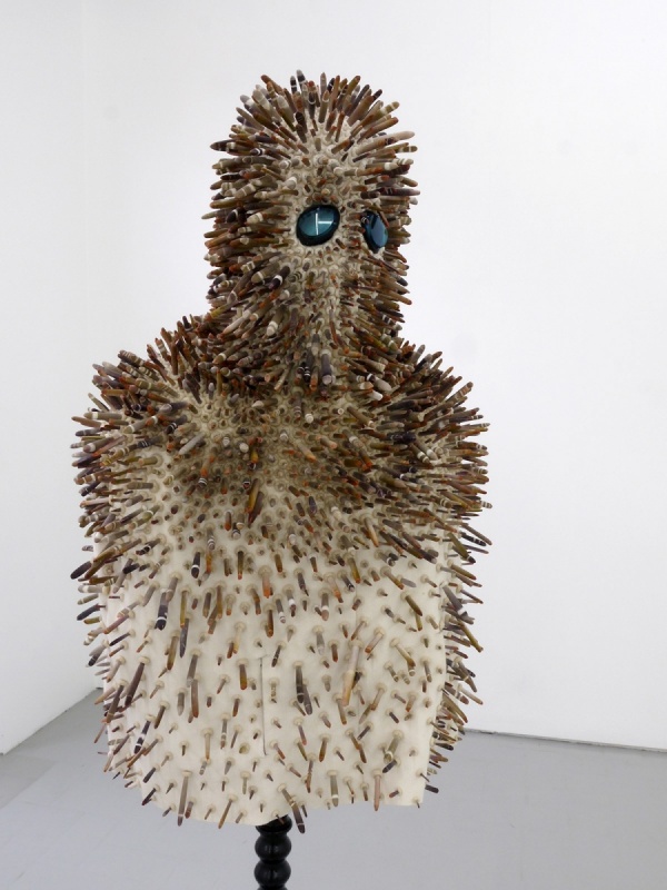 exploreur- orchin, 2011