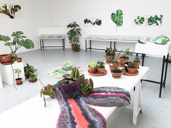 planting yourself with plants, 2019