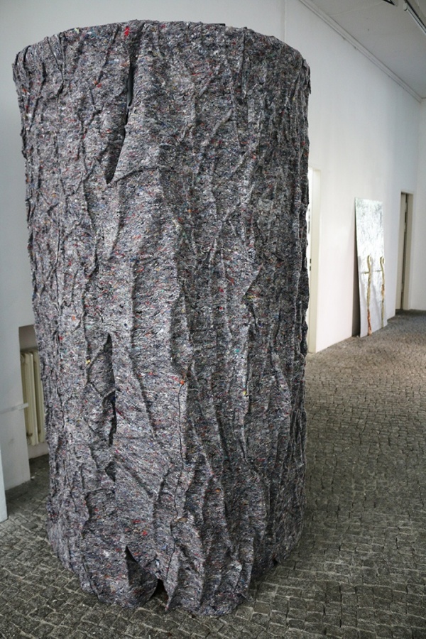 dendromacy, film and cabin, 2017