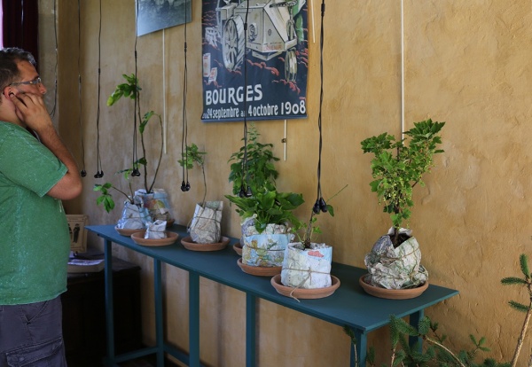 portraits botaniques, depuis 2015