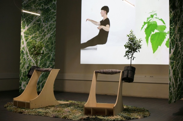 vertimus, 2019