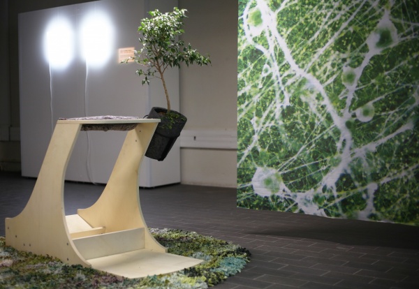 vertimus, 2019