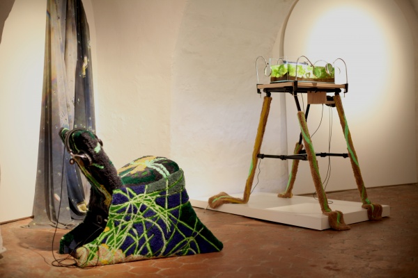 symbiots symphony, 2025