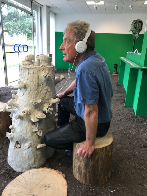 botanical portraits, since 2015