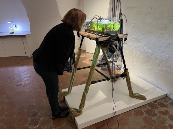 symbiots symphony, 2025