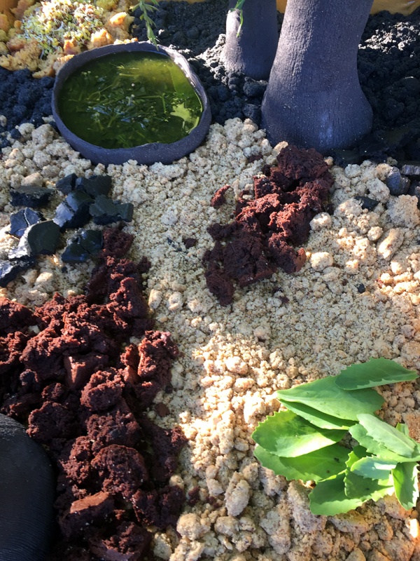 Eat the soil, culinary performances, since 2017
