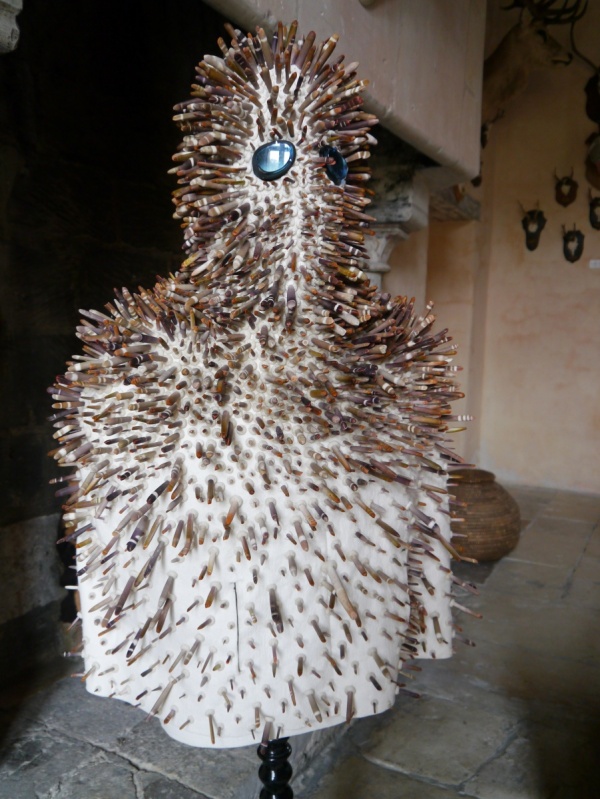 exploreur- orchin, 2011