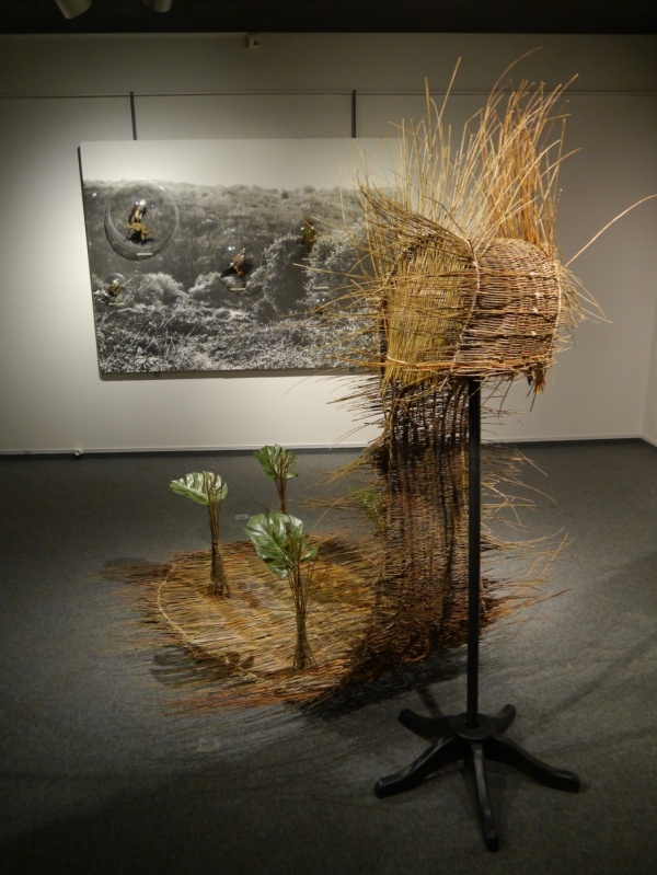 explorer-wicker, 2011